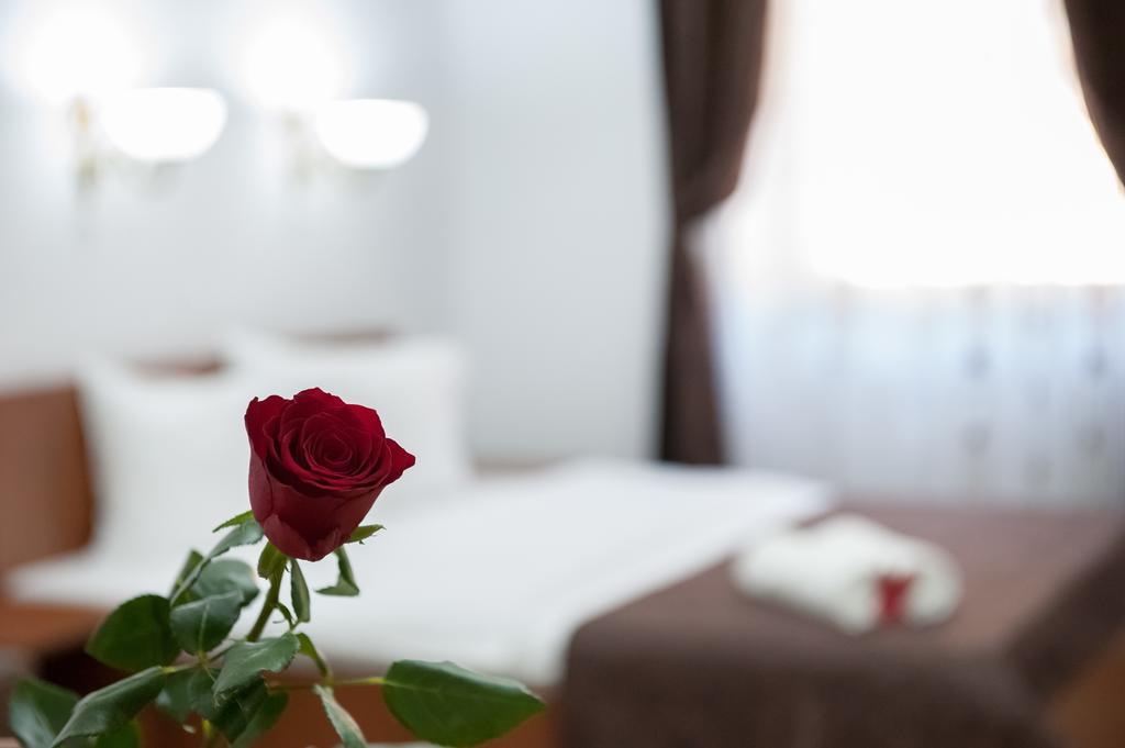 Cathedral Apartments シビウ 部屋 写真